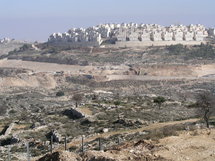 Los palestinos boicotean productos de las colonias israelíes Los palestinos boicotean productos de las colonias israelíes