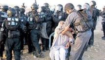 La Policía Israelí Destruye un Pueblo de Beduinos en el Neguev La Policía Israelí Destruye un Pueblo de Beduinos en el Neguev