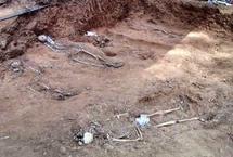 Hallados ocho cuerpos en una fosa en Cazalla de la Sierra donde se busca a 300 víctimas del franquismo Hallados ocho cuerpos en una fosa en Cazalla de la Sierra donde se busca a 300 víctimas del franquismo