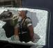 Tiroteo en Beirut deja saldo de dos muertos y siete heridos