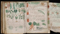El manuscrito Voynich El manuscrito Voynich