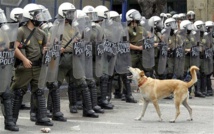 Uno de los perros de la policía antidisturbios les ladra