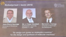 Los ganadores del Nobel de Química Los ganadores del Nobel de Química