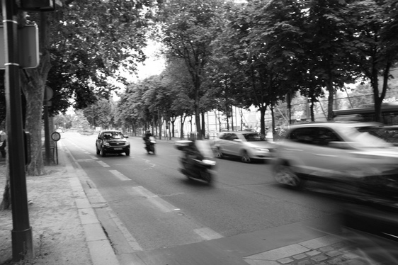 Farruquito recupera su corona Farruquito recupera su corona