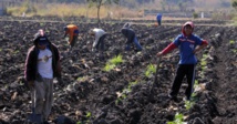 FARC denuncia "genocidio" en marcha contra líderes sociales en Colombia