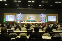 Renovado compromiso en COP13 intentará revertir pérdida de biodiversidad