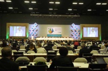 Renovado compromiso en COP13 intentará revertir pérdida de biodiversidad Renovado compromiso en COP13 intentará revertir pérdida de biodiversidad
