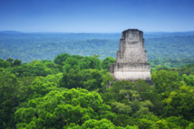 La reserva de la biosfera maya