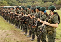 Colombia indultó a 110 guerrilleros de las FARC Colombia indultó a 110 guerrilleros de las FARC