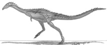 Dibujo del Limusaurus inextricabilis Dibujo del Limusaurus inextricabilis