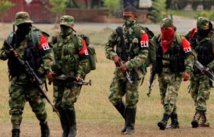 Guerrilleros del ELN Guerrilleros del ELN