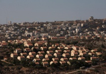 Una colonia Una colonia