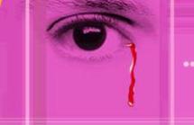 Violencia de Género: 207 mujeres asesinadas en el 2008 en Argentina Violencia de Género: 207 mujeres asesinadas en el 2008 en Argentina
