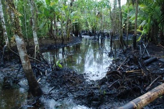 Indígenas ecuatorianos alertan por derrame de crudo en Amazonía Indígenas ecuatorianos alertan por derrame de crudo en Amazonía