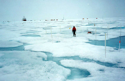 El Ártico quedará sin hielo en septiembre de 2099 El Ártico quedará sin hielo en septiembre de 2099
