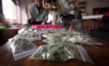 Marihuana empaquetada para ser vendida Marihuana empaquetada para ser vendida