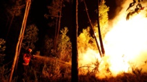 Inmenso incendio forestal deja más de 60 muertos en Portugal Inmenso incendio forestal deja más de 60 muertos en Portugal