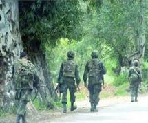 Argelia: al menos 11 militares muertos al oeste de Argel Argelia: al menos 11 militares muertos al oeste de Argel