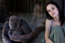 Misión al corazón de África para salvar chimpancés Misión al corazón de África para salvar chimpancés