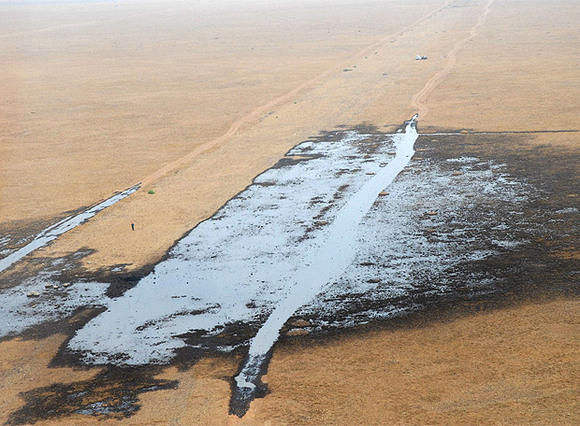 Desastre ecológico en el delta del Ródano