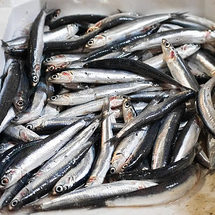Las anchoas: Cuestión de procedencia Las anchoas: Cuestión de procedencia
