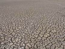 Hambre por la sequía amenaza a millones de personas en el este de África Hambre por la sequía amenaza a millones de personas en el este de África