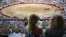 Una corrida de toros Una corrida de toros