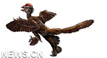 Hallado un eslabón perdido entre dinosaurios y aves Hallado un eslabón perdido entre dinosaurios y aves