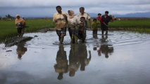 Refugiados rohingya Refugiados rohingya