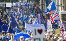 Manifestantes británicos a favor de permanecer en la Unión Europea