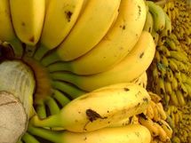 América Latina acepta oferta de UE para poner fin a "guerra del banano"