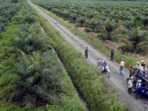 Tierras devueltas por las FARC al estado.