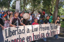 Manifestación pidiendo la libertad de los presos mapuches en huelga de hambre Manifestación pidiendo la libertad de los presos mapuches en huelga de hambre