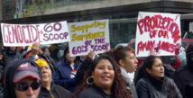 Manifestantes pidiendo apoyo y protección para los indígenas que fueron robados. Manifestantes pidiendo apoyo y protección para los indígenas que fueron robados.