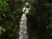 A 2 mil 200 metros sobre el nivel del mar A 2 mil 200 metros sobre el nivel del mar