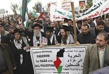 Neturei Karta, la Organización Judía Antisionista, Apoya a los Palestinos en Gaza