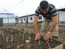 Un ex combatiente de las FARC Un ex combatiente de las FARC