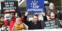 Manifestantes franceses pidiendo a la UE que prohiba el glifosato