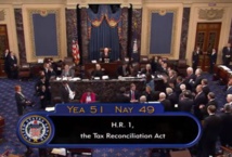 El senado estadounidense. El senado estadounidense.