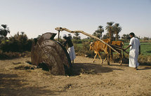 Ministros afro-árabes de Agricultura se reúnen en Egipto