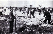 Salamanca recibe los papeles sobre los esclavos de Franco Salamanca recibe los papeles sobre los esclavos de Franco