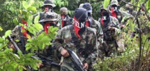 Guerrilleros del ELN Guerrilleros del ELN