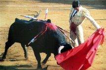 El propietario de una plaza : “prohibir los toros sería limitar la libertad individual” El propietario de una plaza : “prohibir los toros sería limitar la libertad individual”