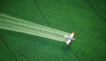 Un avión rociando los campos con glifosato