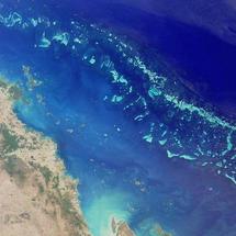 Capa de petróleo amenaza Gran Barrera de coral de Australia Capa de petróleo amenaza Gran Barrera de coral de Australia