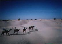 De acampada en el desierto tunecino