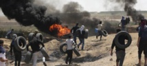 Palestinos llevan neumáticos para quemarlos Palestinos llevan neumáticos para quemarlos