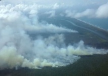 Los incendios en Indio Maíz, en Nicaragua Los incendios en Indio Maíz, en Nicaragua