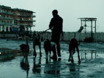 Una escena de Dogman Una escena de Dogman