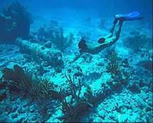Polémica en México por proyecto turístico cercano a un arrecife de coral